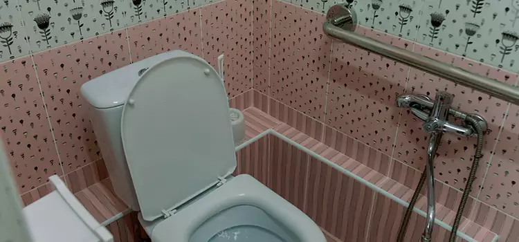 Meeting Diverse Needs With Accessible Restroom Solutions in Ashburn, VA