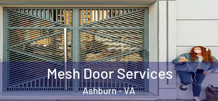 Mesh Door Services Ashburn - VA